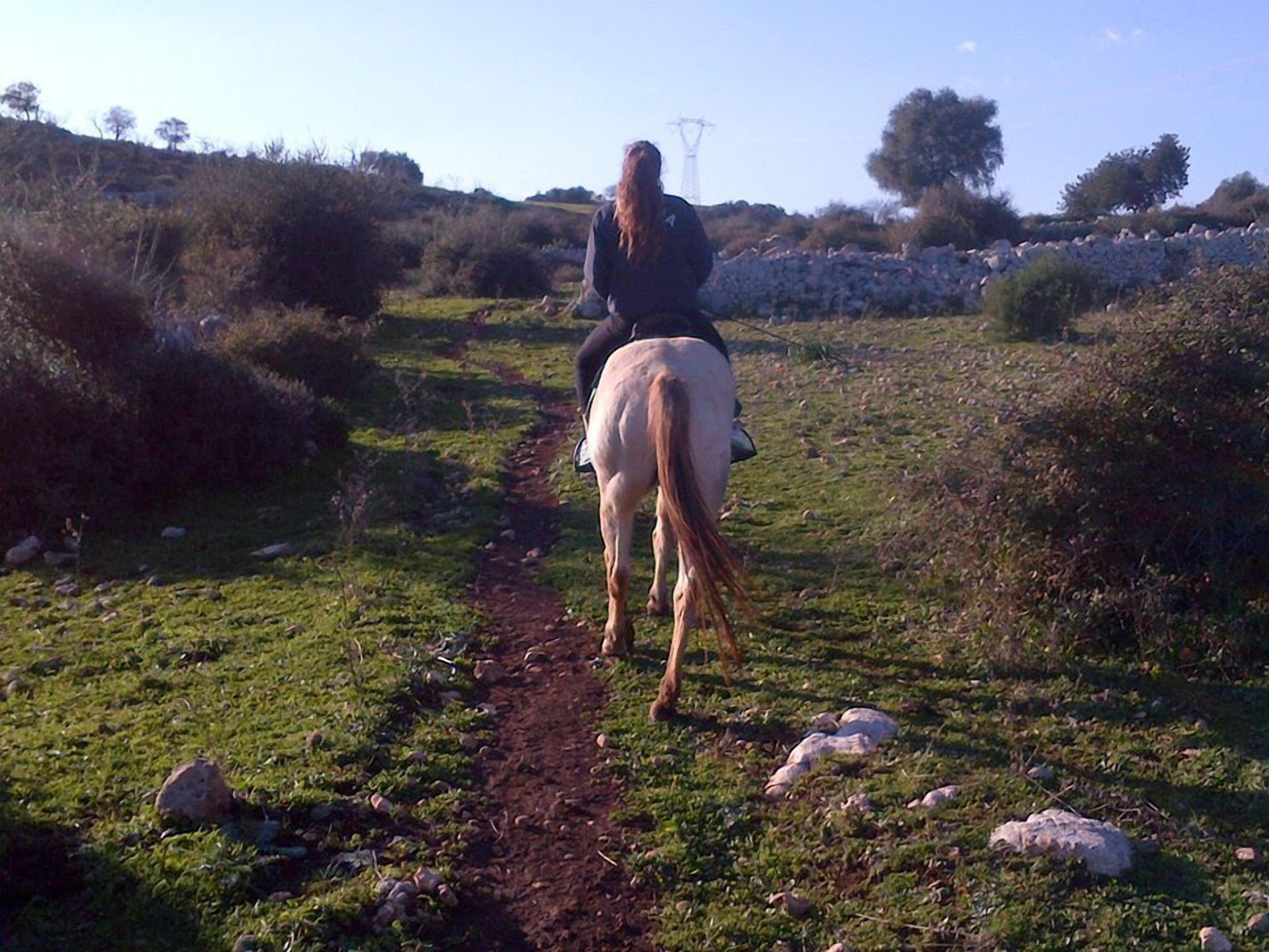 Una persona montando a caballo por un sendero de tierra rodeado de follaje y rocas.