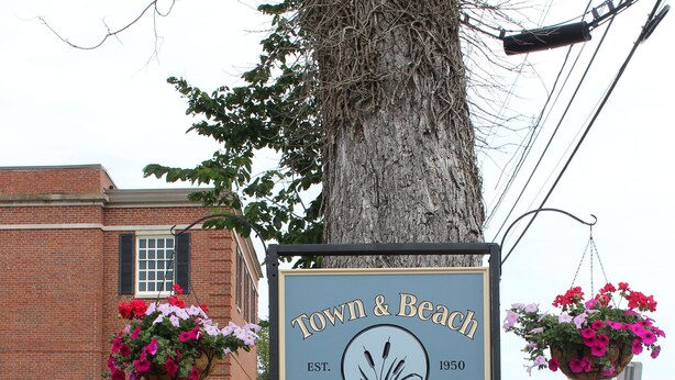 Señal del Town & Beach Motel con un árbol y macizos de flores al frente.