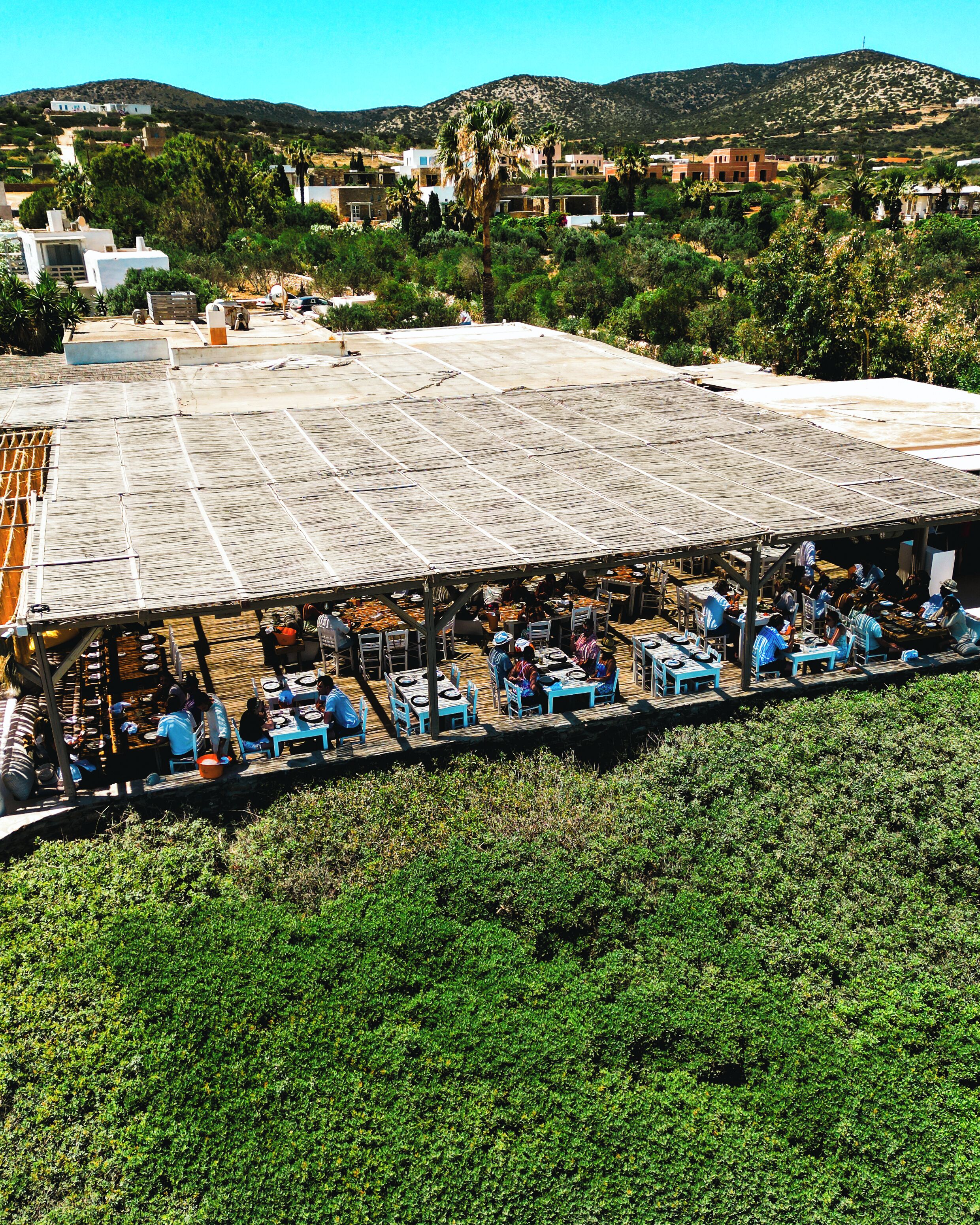 Un espacio exterior para comer con mesas y sillas, rodeado de vegetación y edificios al fondo.