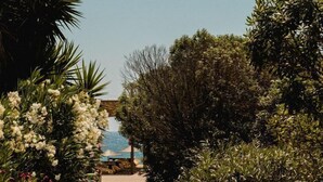 A stone pathway leading to a beach with lush greenery and white flowers on either side. - Soros Beach (Antiparos)