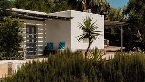 A modern house with a white exterior, a patio with a seating area, and a palm tree in the foreground. - Soros Beach (Antiparos)