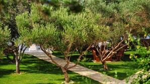 Un sendero serpentea por un jardín bien cuidado, con árboles y un banco de piedra.