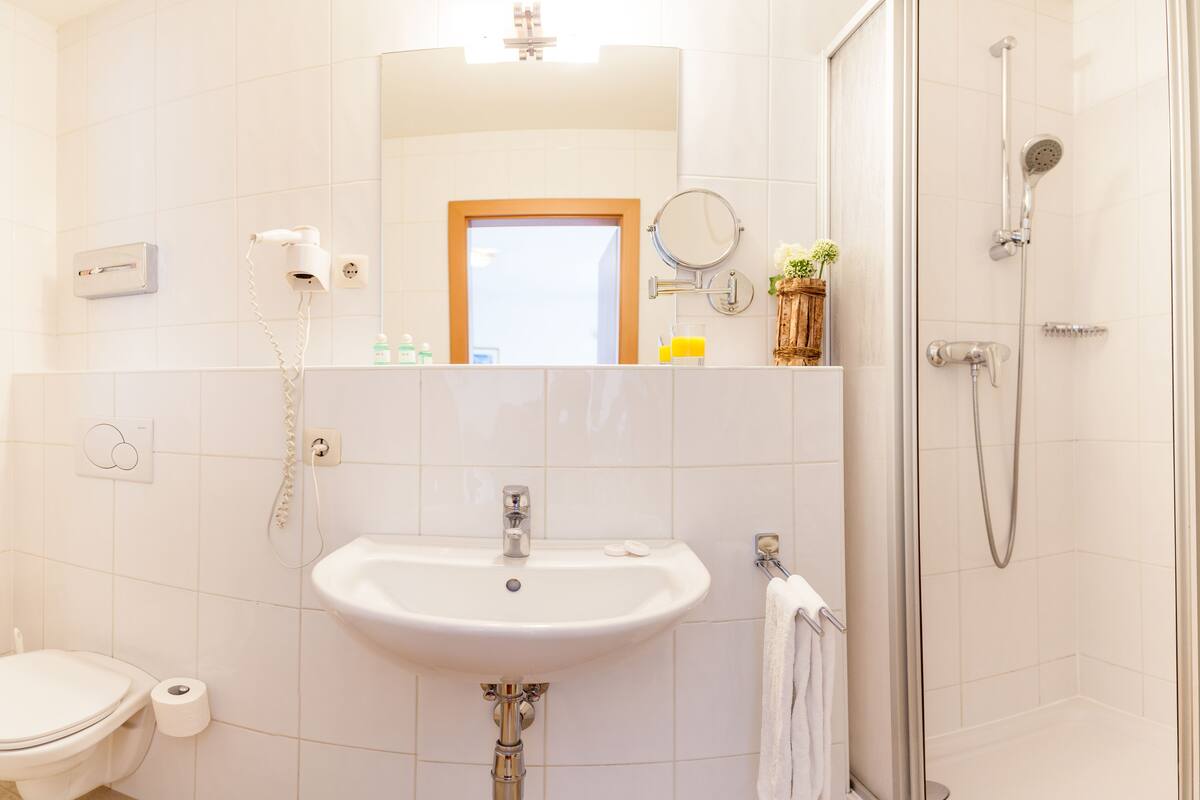 shower, free toiletries, hair dryer, towels