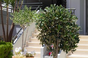 Exterior - Elia Stalos Apartments (Chania)