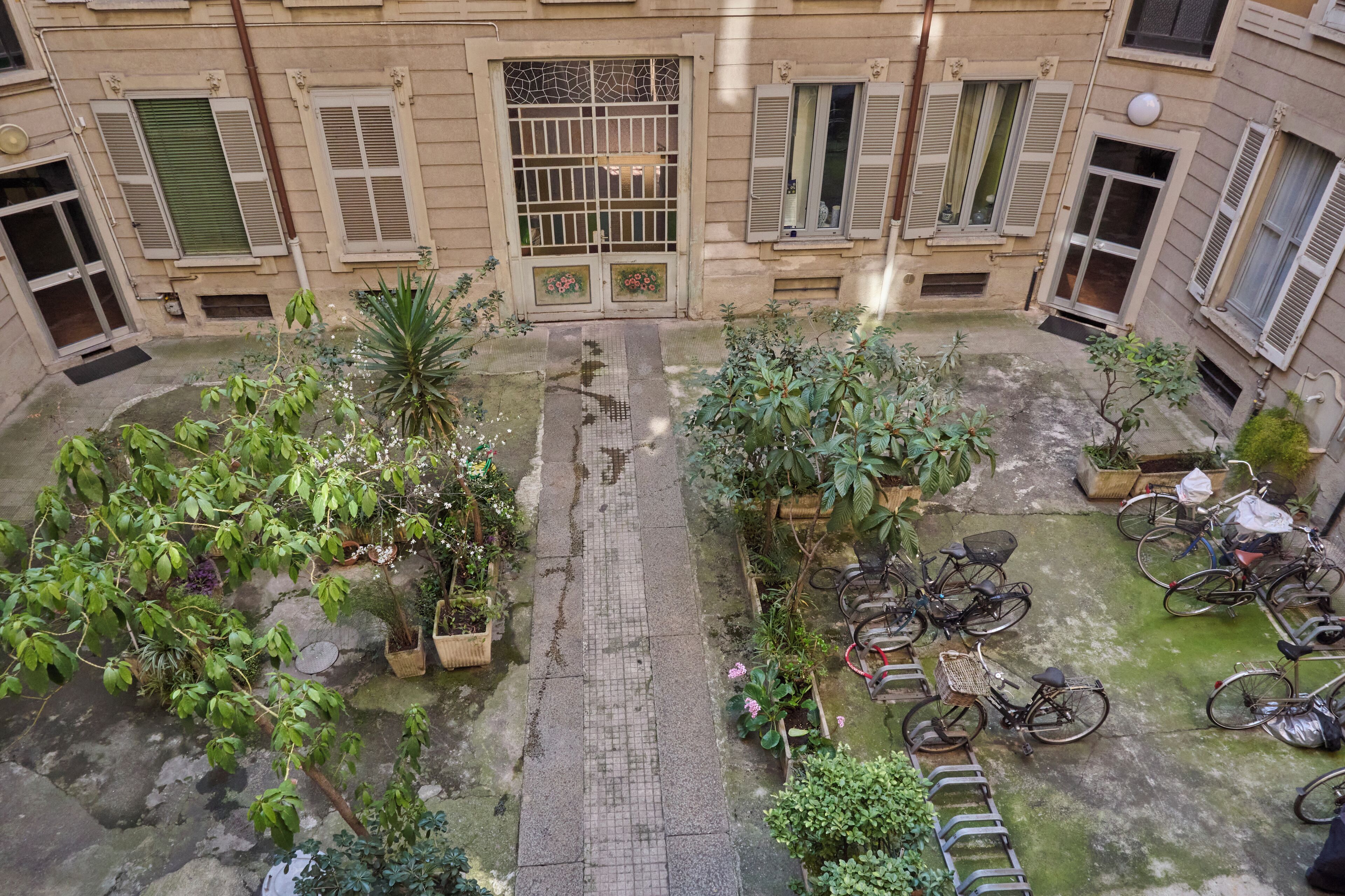Un patio con plantas en macetas, bicicletas y un sendero central.