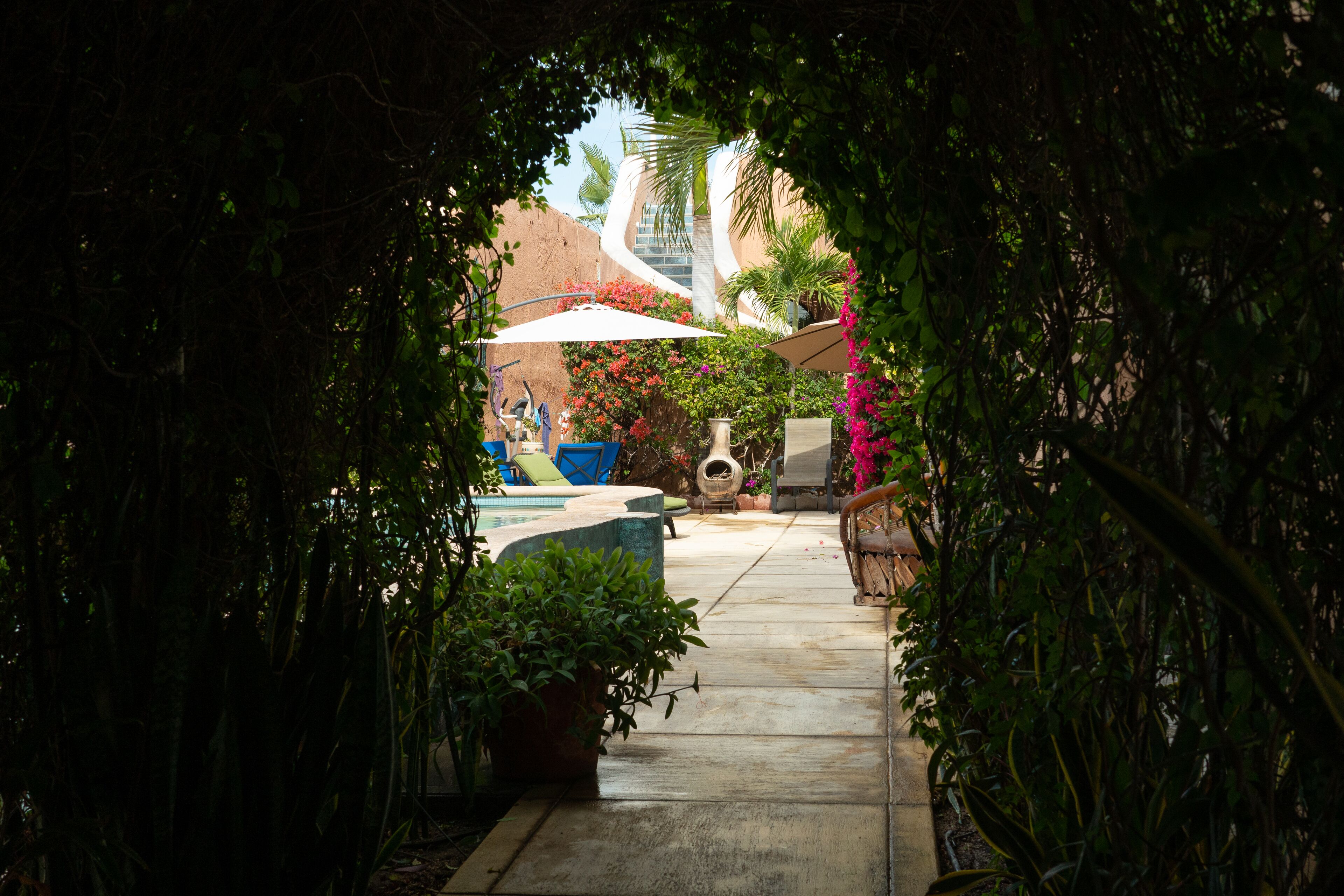 A pathway leading to a pool area surrounded by lush greenery and potted plants.