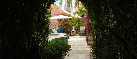 A pathway leading to a pool area surrounded by lush greenery and potted plants.