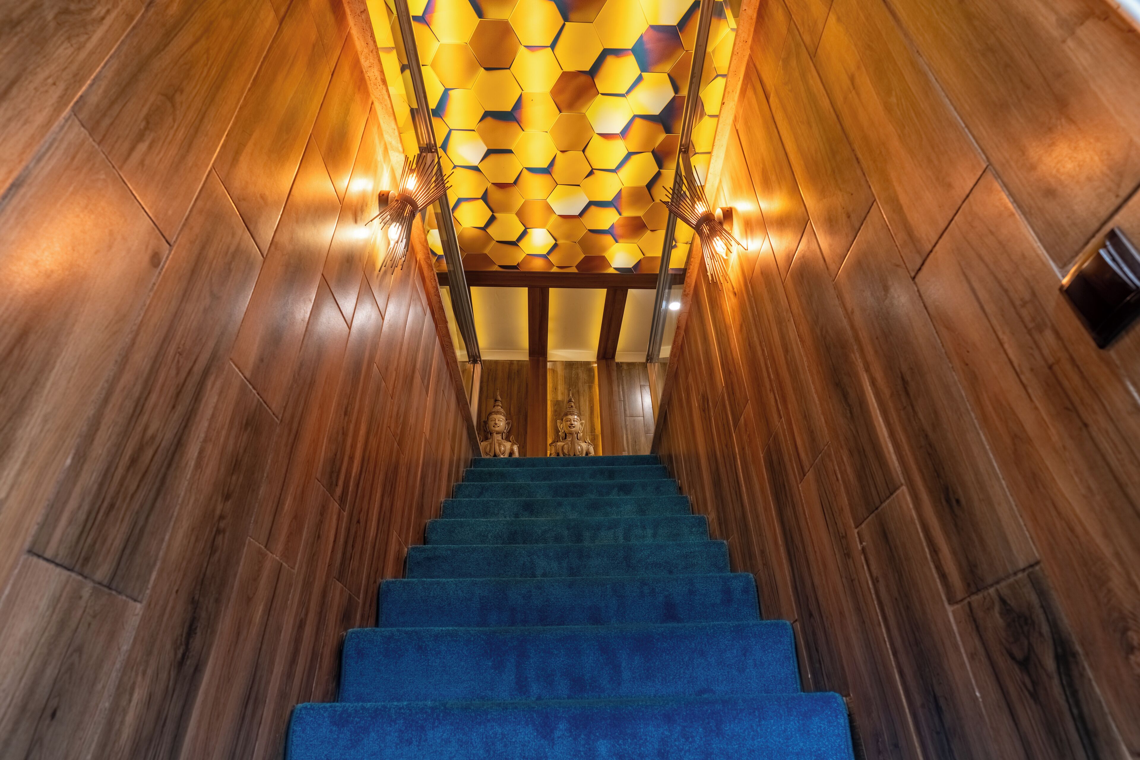A wooden staircase with a blue carpet leading up to a room with a honeycomb-patterned ceiling.