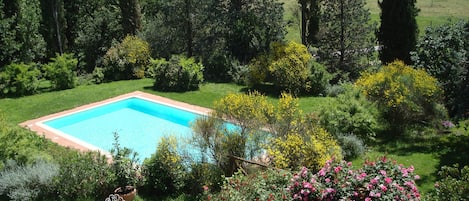 Seasonal outdoor pool, sun loungers