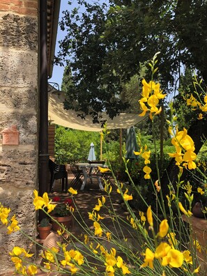 Exterior - Al Giardino degli Etruschi (Chiusi)