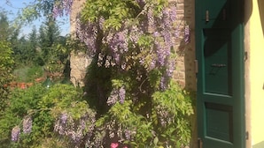 Un edificio con puerta verde, pared de ladrillo y jardín con plantas en macetas y flores.