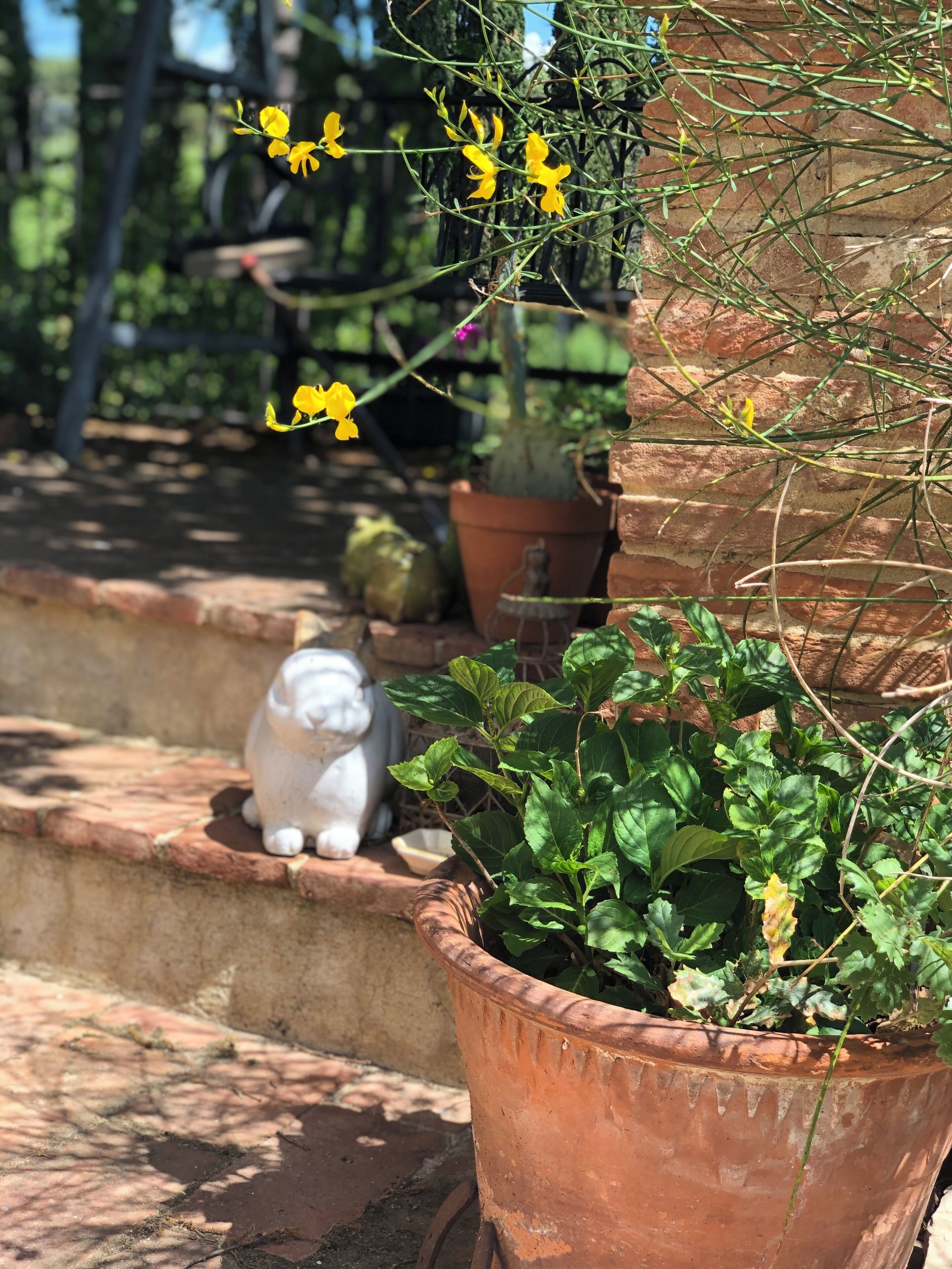 A potted plant with green leaves and yellow flowers, a white statue, and a brick wall in the background.