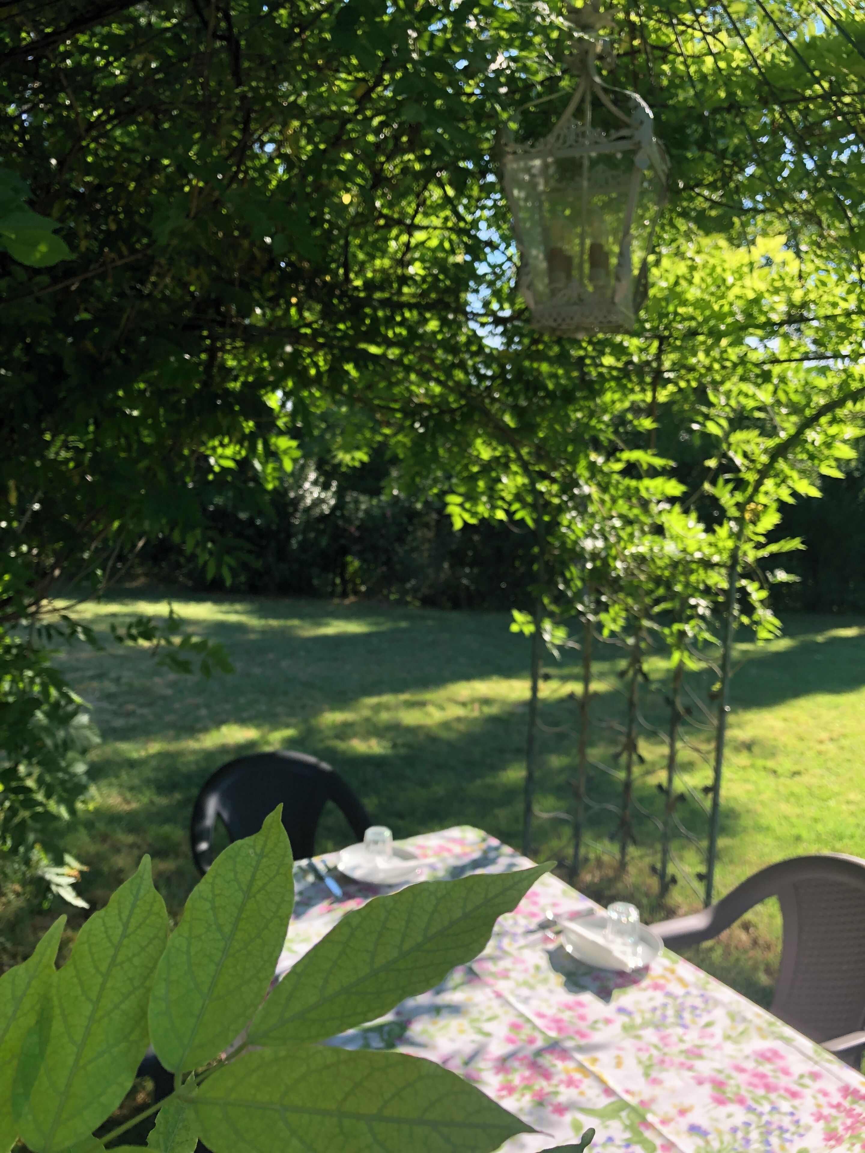 Une table recouverte d’une nappe à motifs floraux, entourée de verdure et surmontée d’une lanterne suspendue.