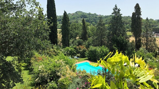 Un exuberante jardín con árboles altos y una piscina.