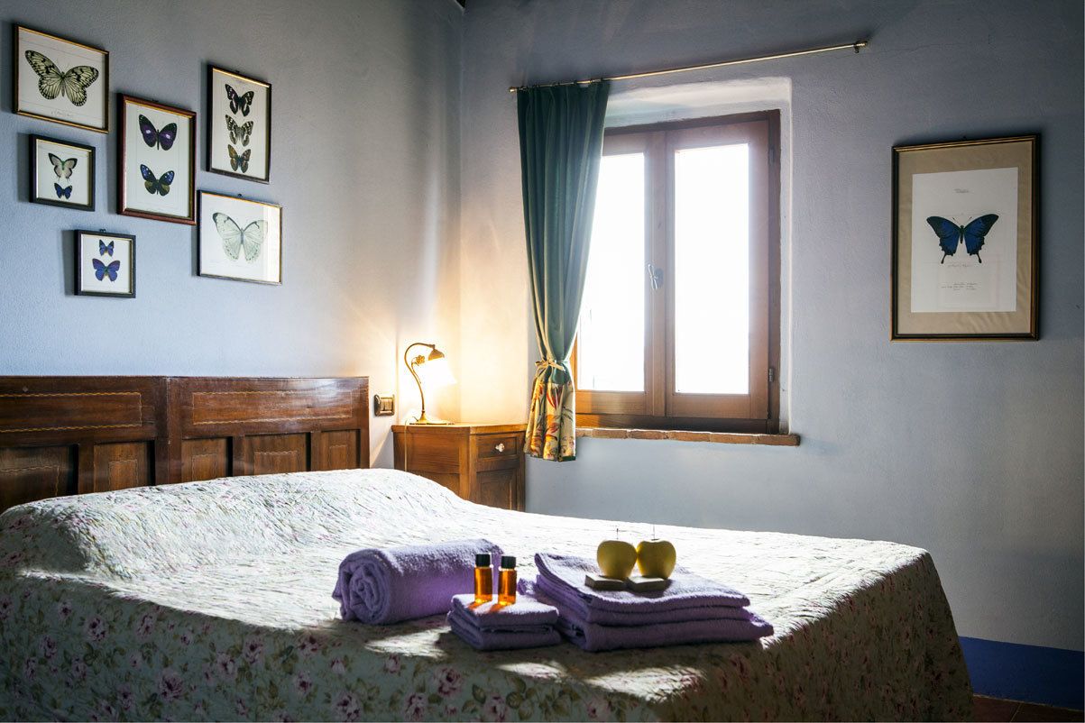 Un dormitorio con cama, cuadros de mariposas, una ventana con cortinas y una mesita de noche con lámpara.