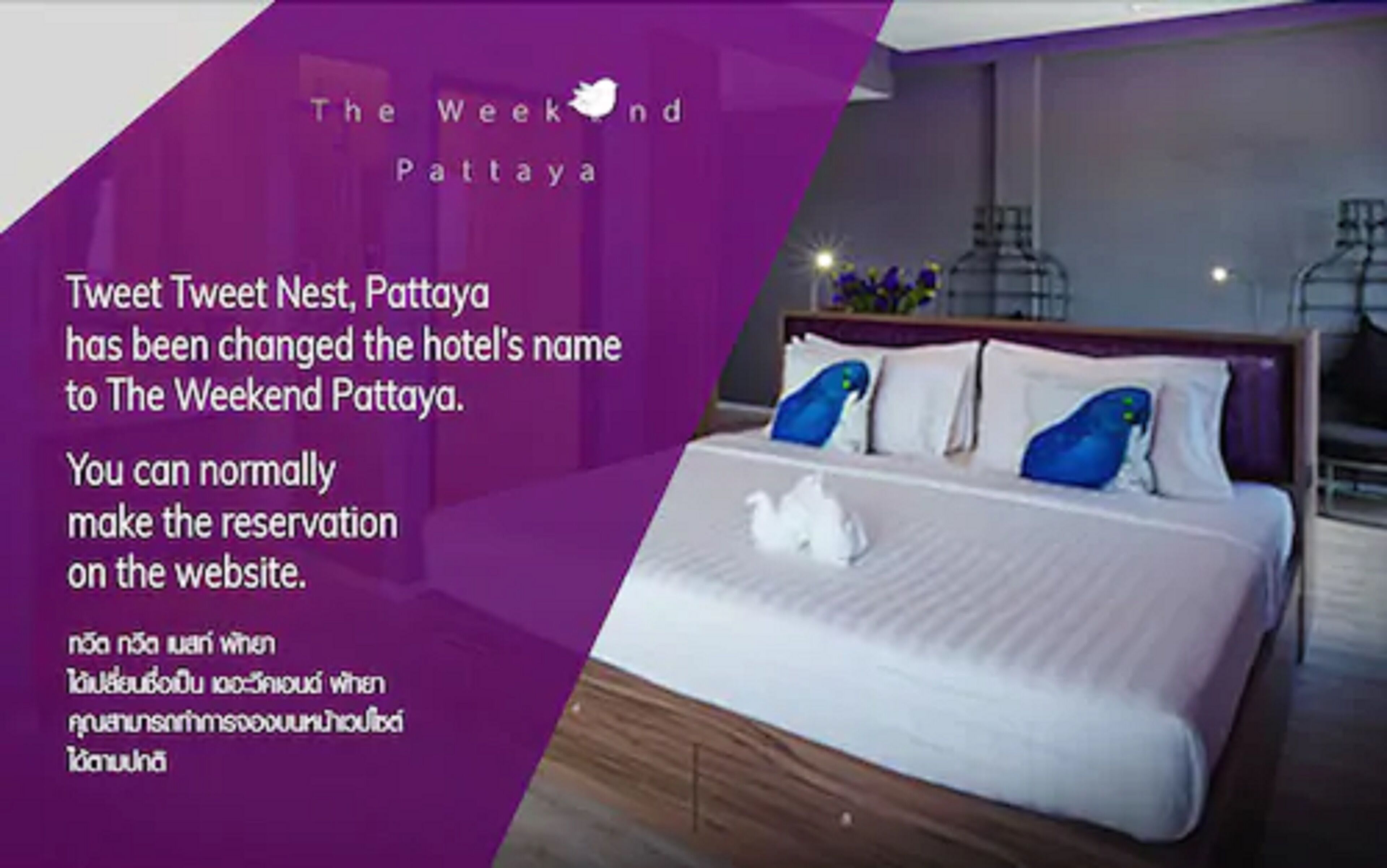 Foto - The Weekend Pattaya (Tweet Tweet Nest Pattaya)