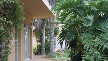 Um caminho de tijolos leva a um edifício com varanda, cercado por vegetação exuberante e palmeiras.