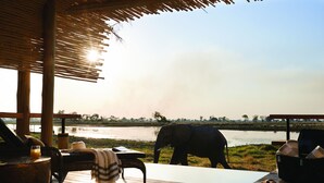 Een houten terras met uitzicht op een meer en een olifant, een lounge stoel en een tafel met een drankje.