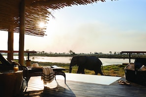 Private pool - Belmond Safaris (Chobe National Park)