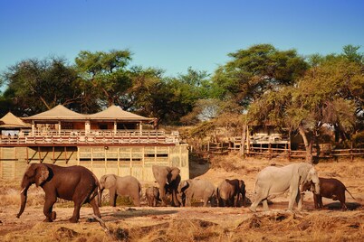 貝夢德野生動物度假村
