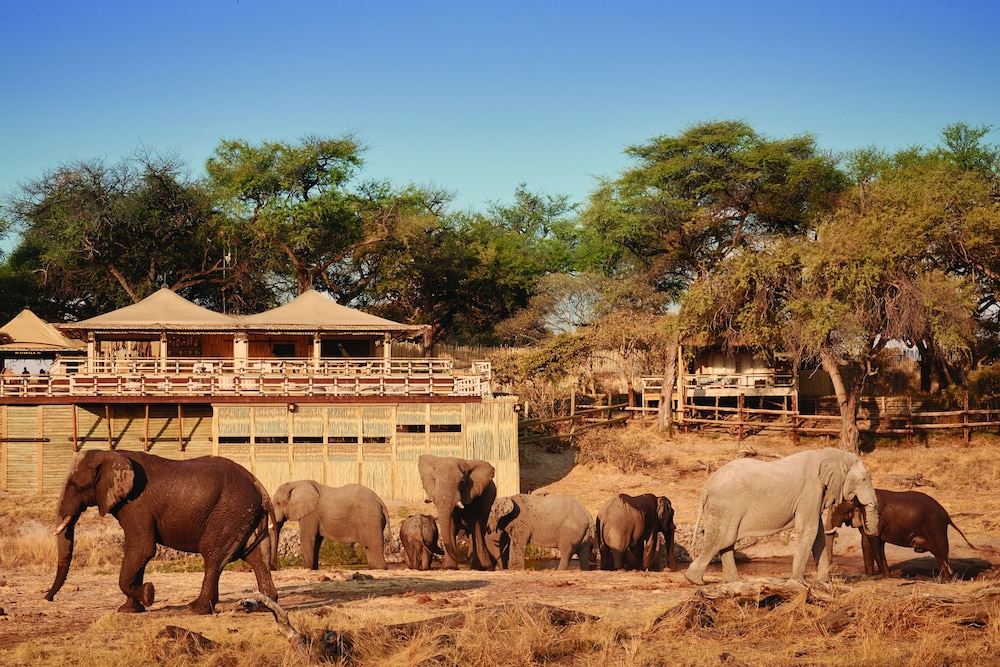 Savute Elephant Lodge, A Belmond Safari, Botswana by null