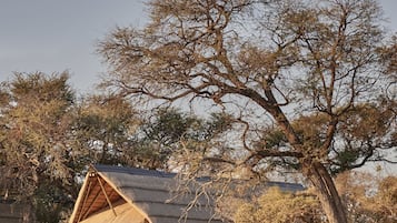 Habitación Deluxe (Savute Elephant Lodge) | Ropa de cama de alta calidad y artículos del minibar gratis