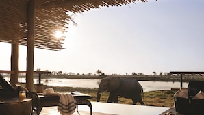 Una terraza de madera con vista a un cuerpo de agua y un elefante.