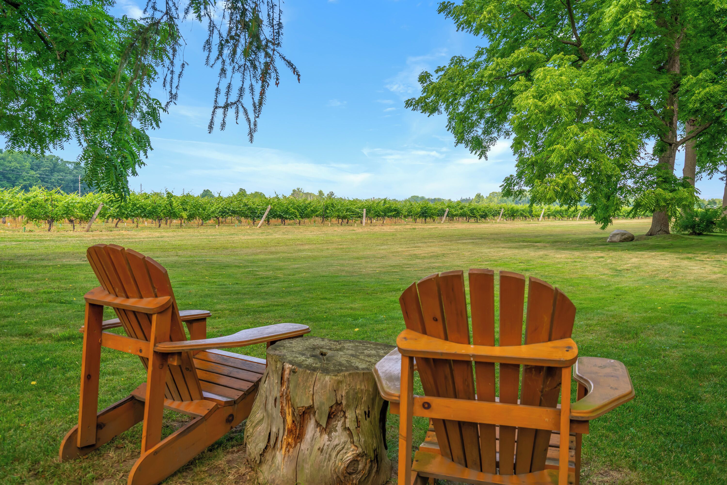 Photo - Vineyard Villa