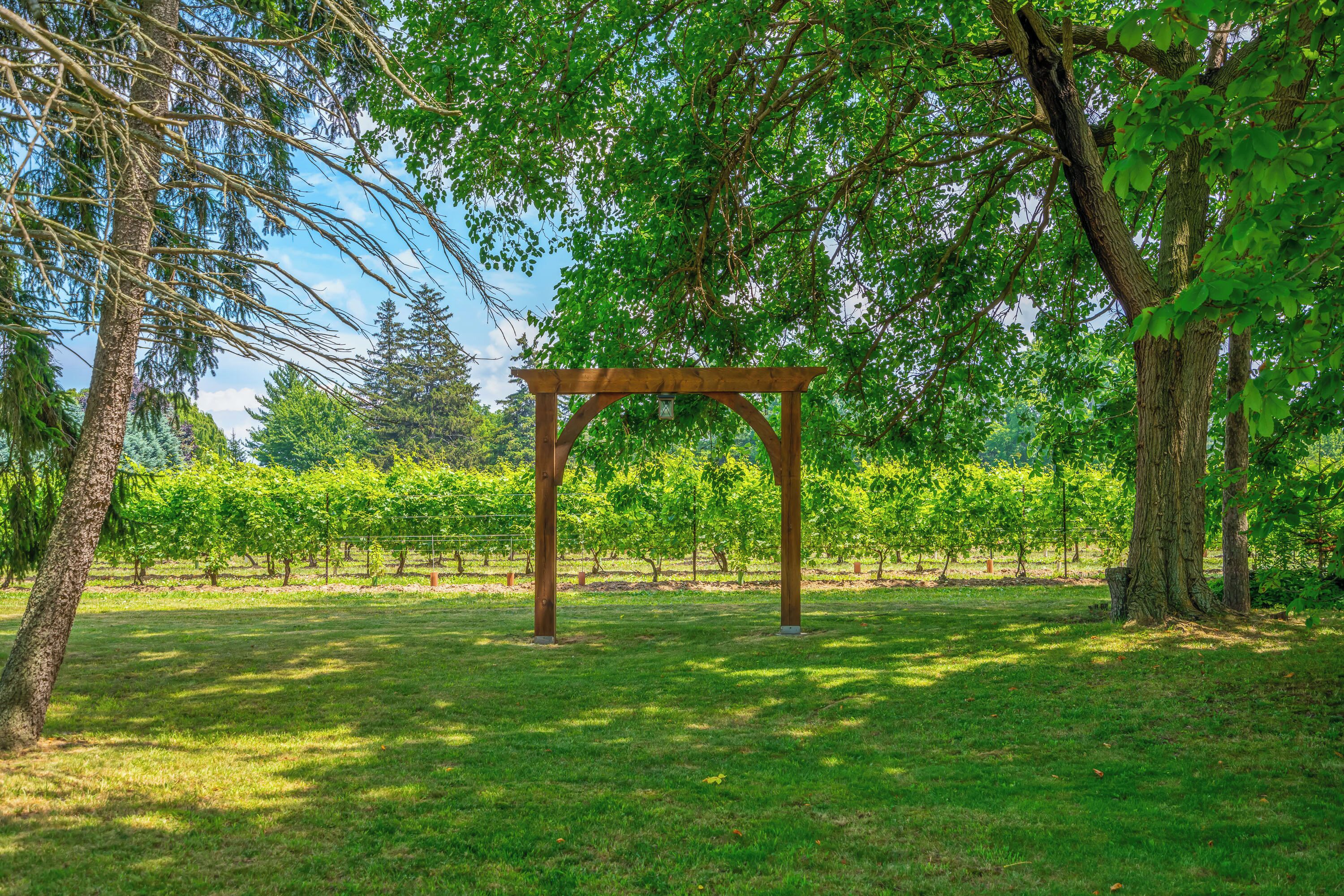 Photo - Vineyard Villa