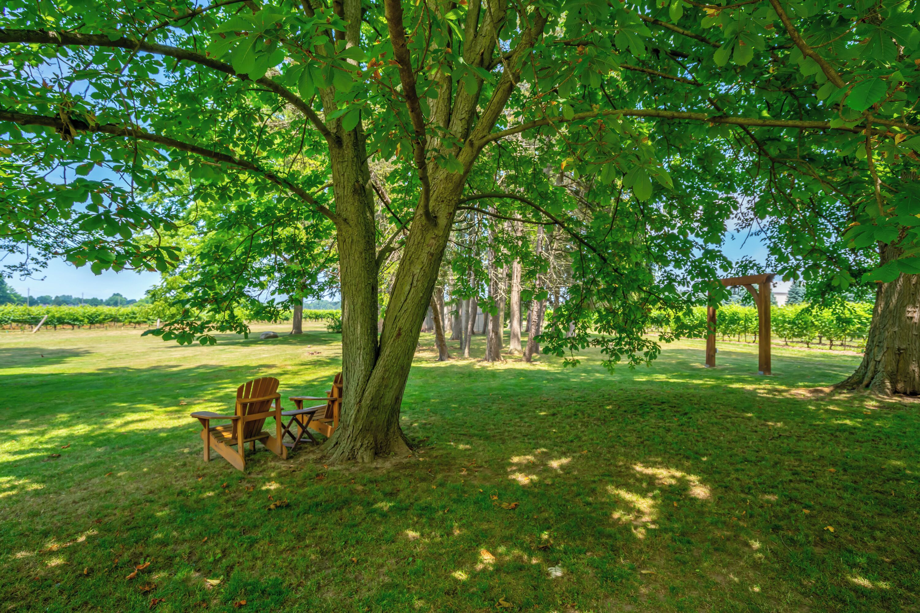 Photo - Vineyard Villa