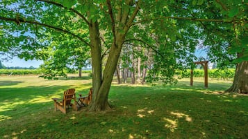 A park with a large tree, a wooden bench, and a grassy area.