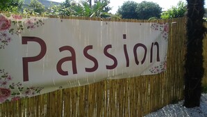 Unclassified image, 5 of 26, button - Passion 2015 (Rho)