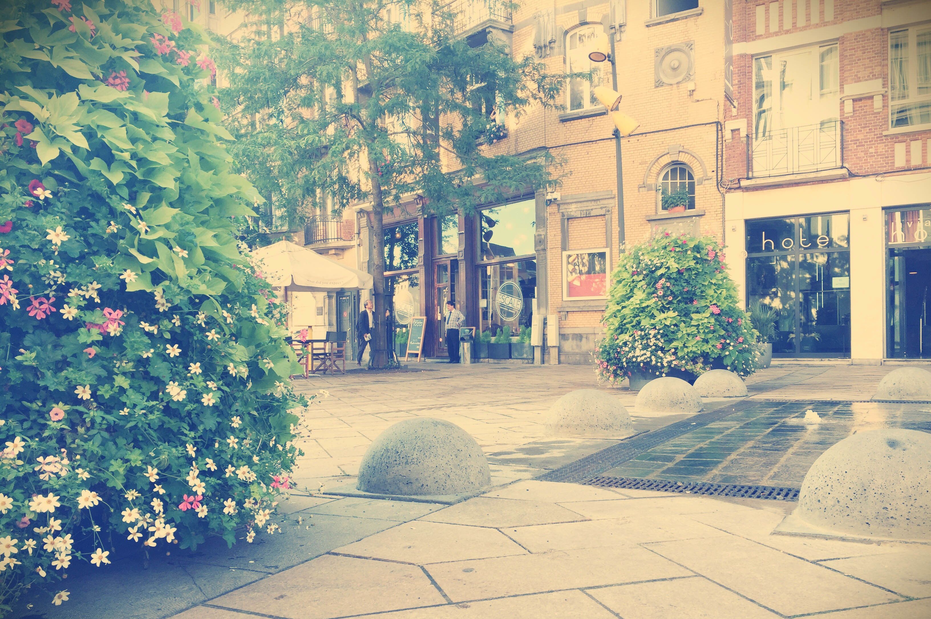 Photo - Hotel Aviation