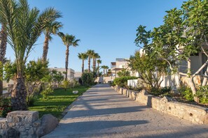 Exterior - Kouros Palace Active Lifestyle Hotel (Kos)