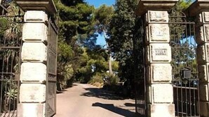 A stone pathway leading through a gate with inscriptions, surrounded by trees. - Residence RTA Villa Marina (Imperia)