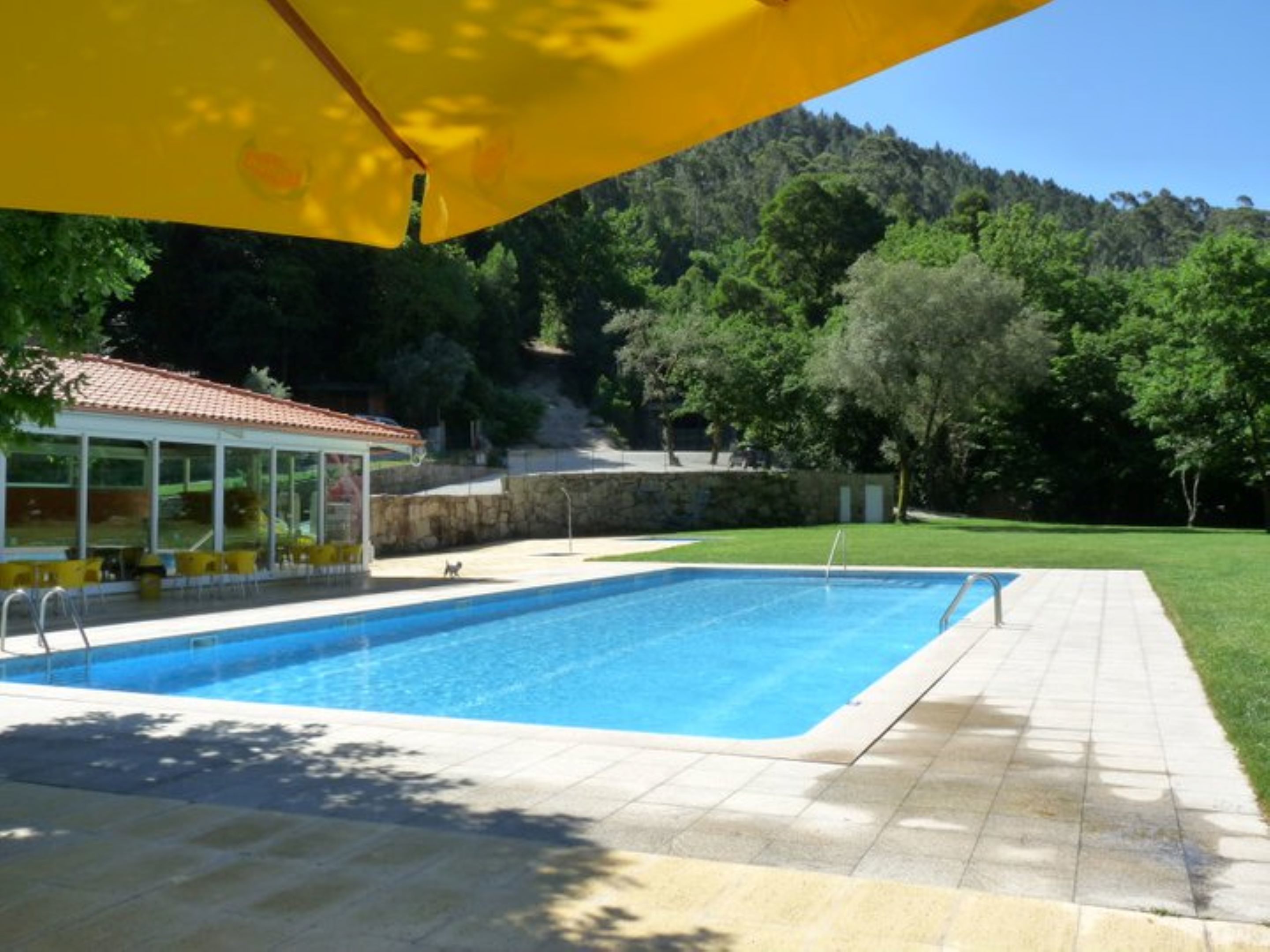 Piscine extérieure (ouverte en saison)