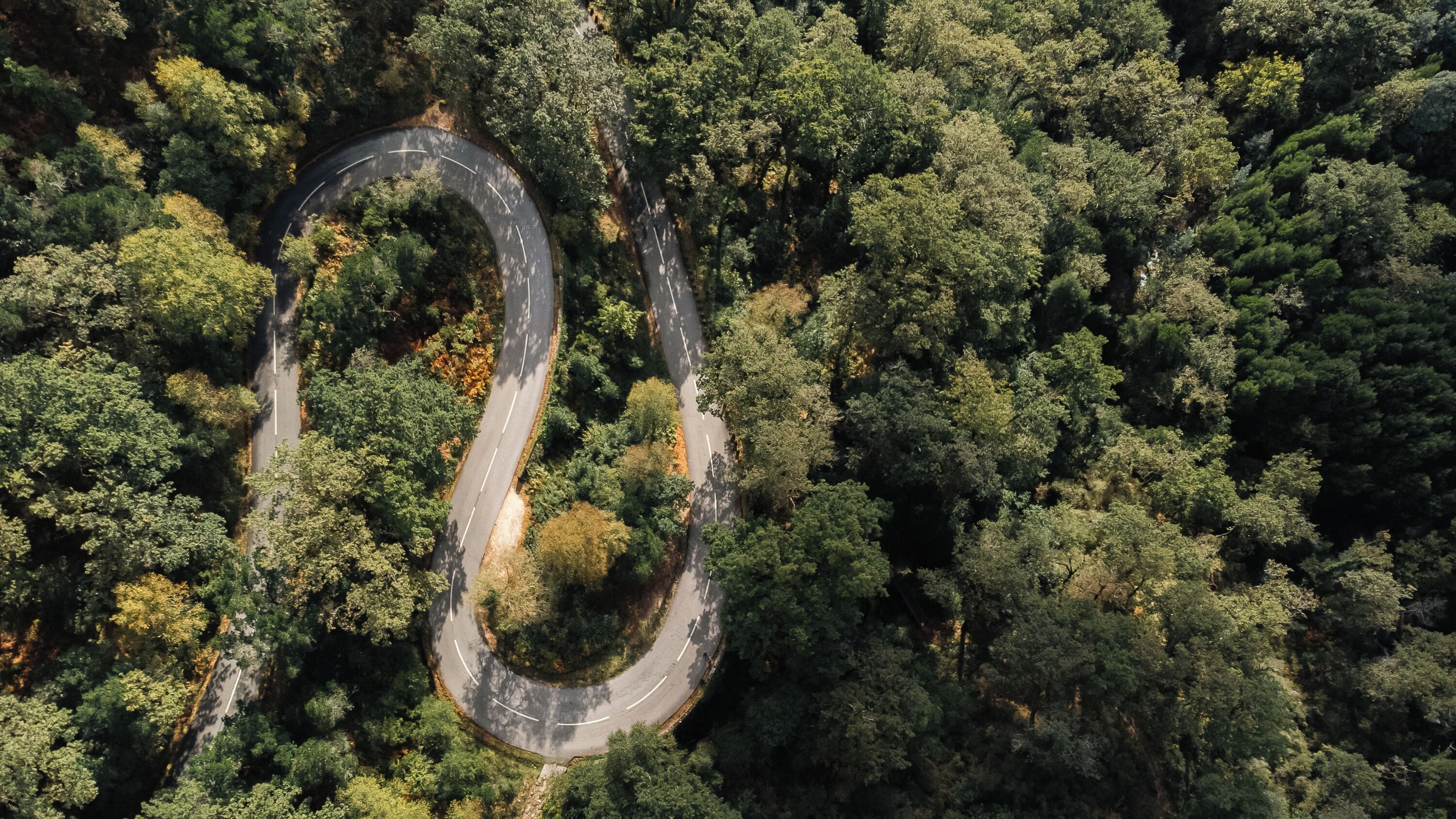 An aerial view of a winding road through a dense forest.