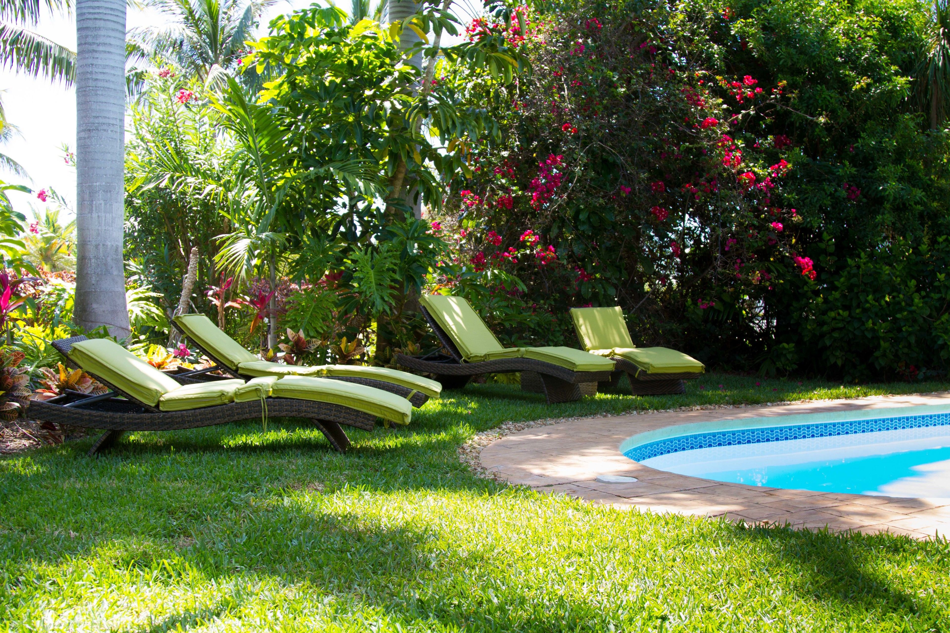 Outdoor pool, pool loungers