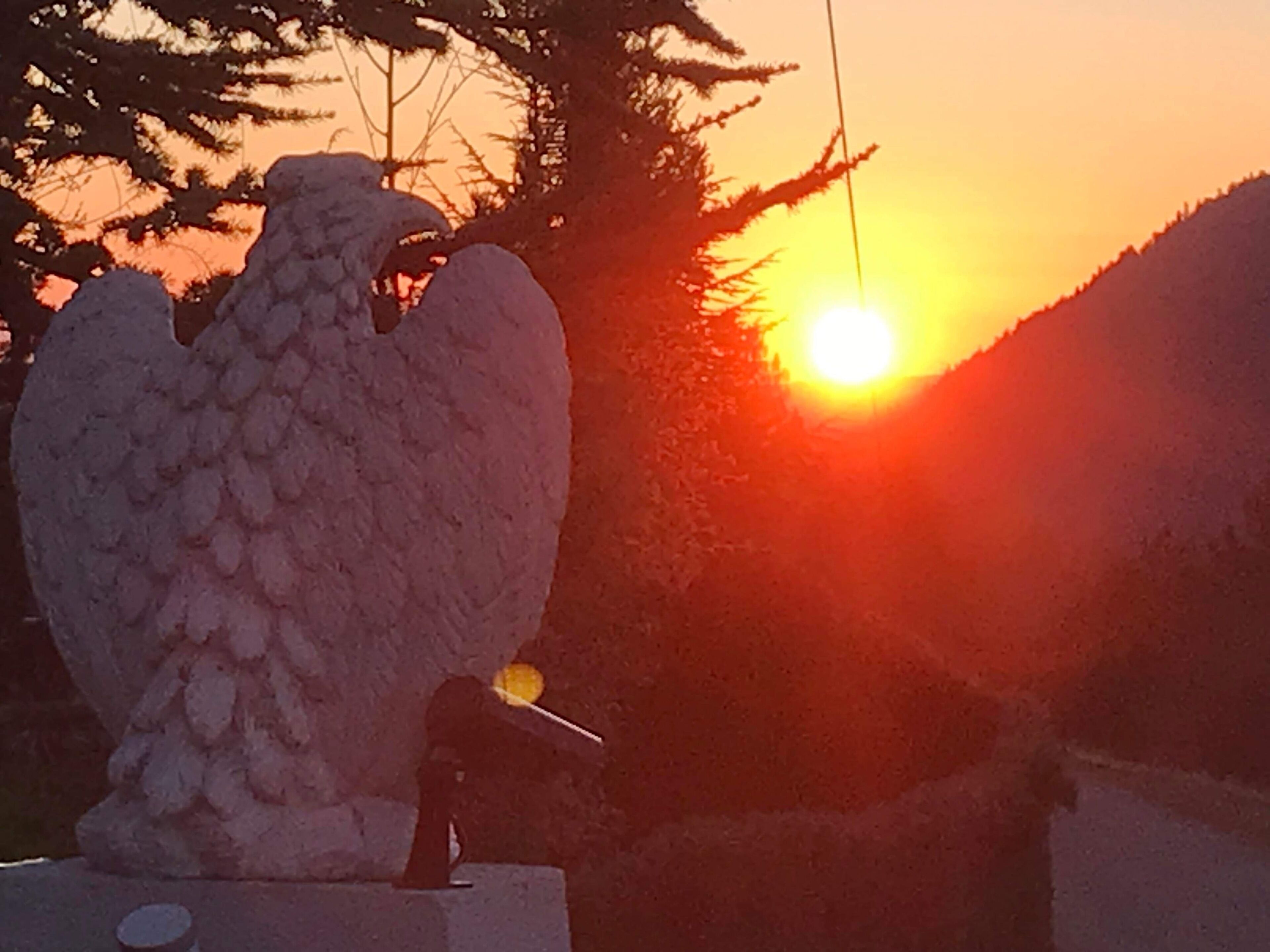 Een grote vogelsculptuur in de zonsondergang.
