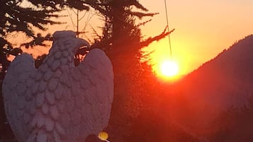 Een grote vogelsculptuur in de zonsondergang.
