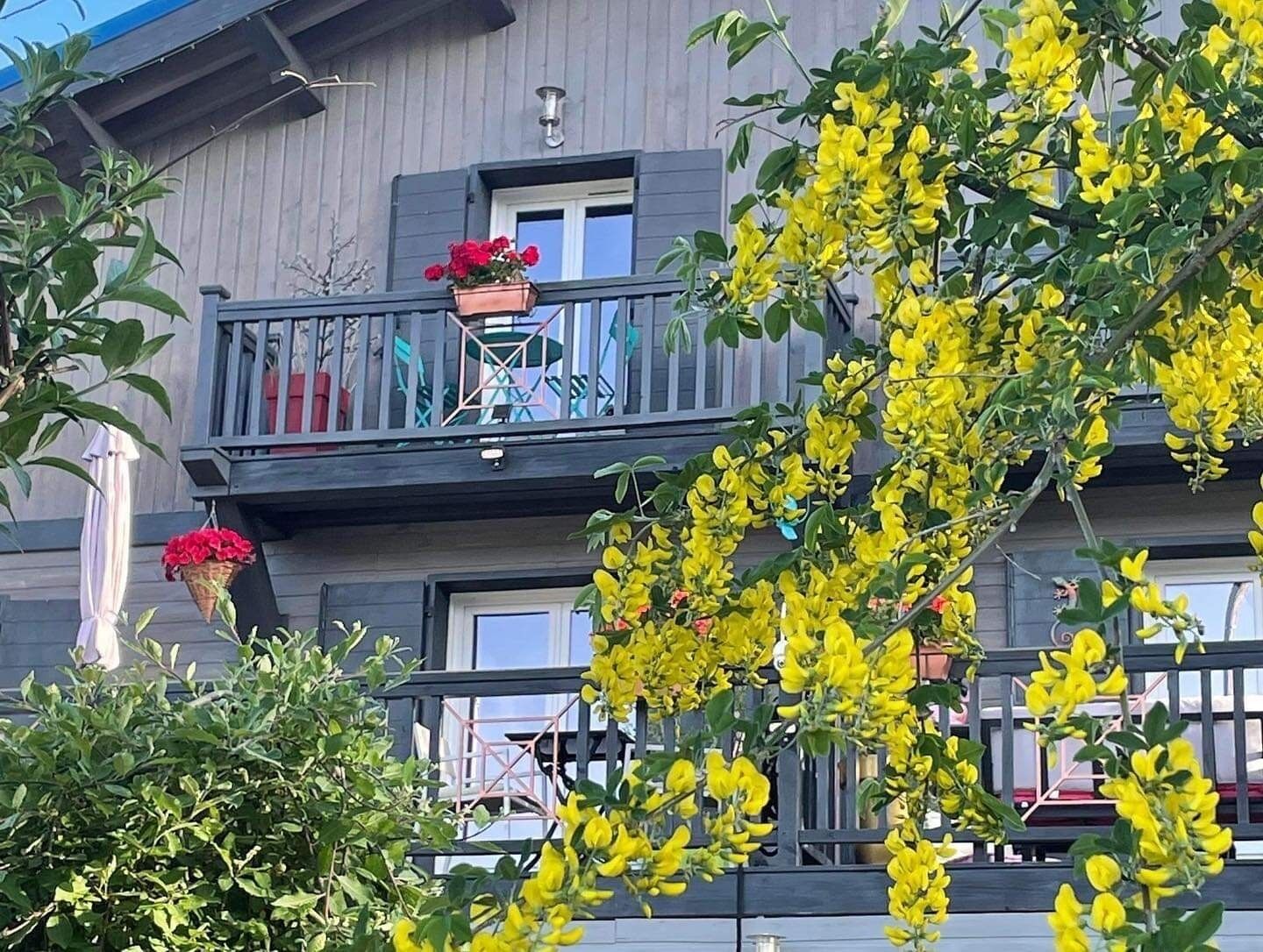 A balcony with a table and chairs, a hanging flower basket, and yellow flowering plants.