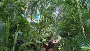 A stone pathway flanked by lush green foliage leading up a staircase. - Hotel Tamarindo Village (Tamarindo)
