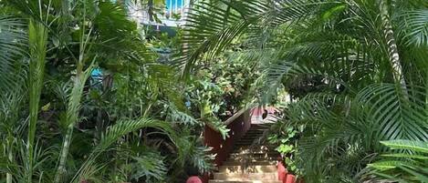 A stone pathway flanked by lush green foliage leading up a staircase.
