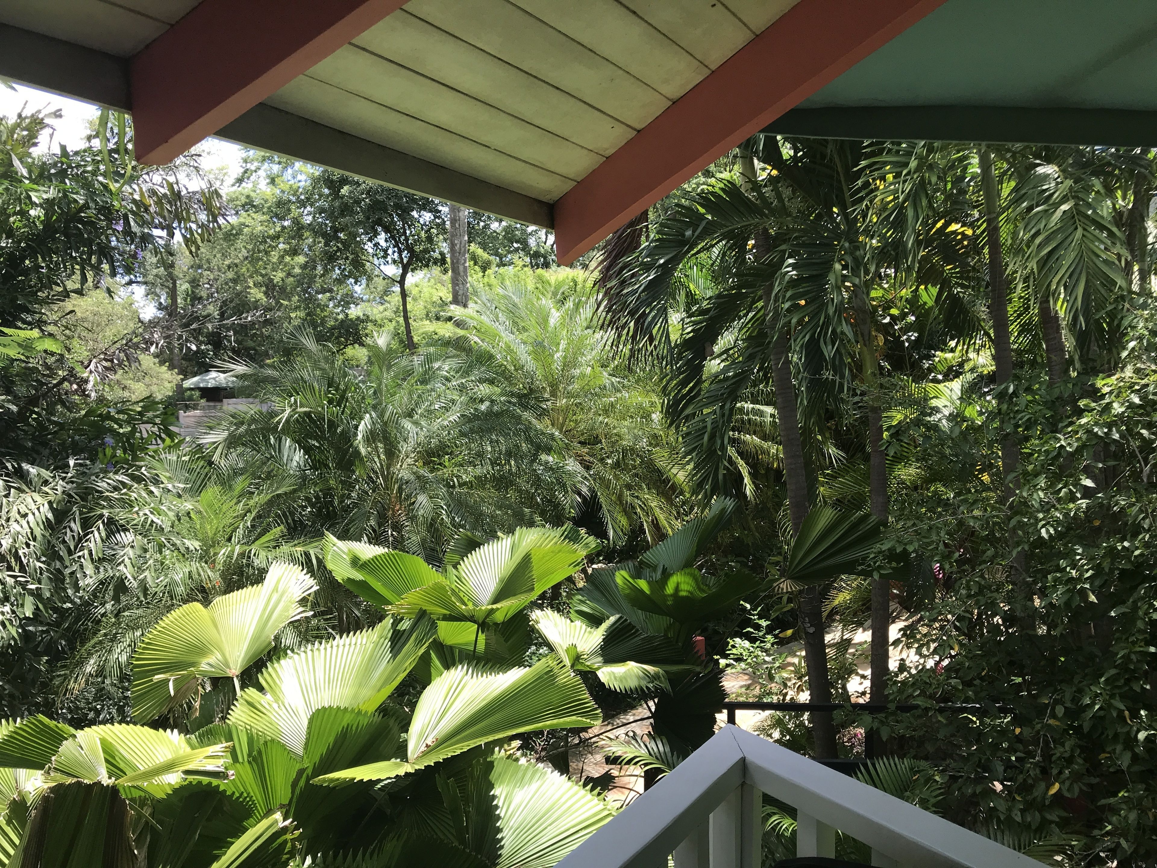 Foto - Tamarindo Village Hotel