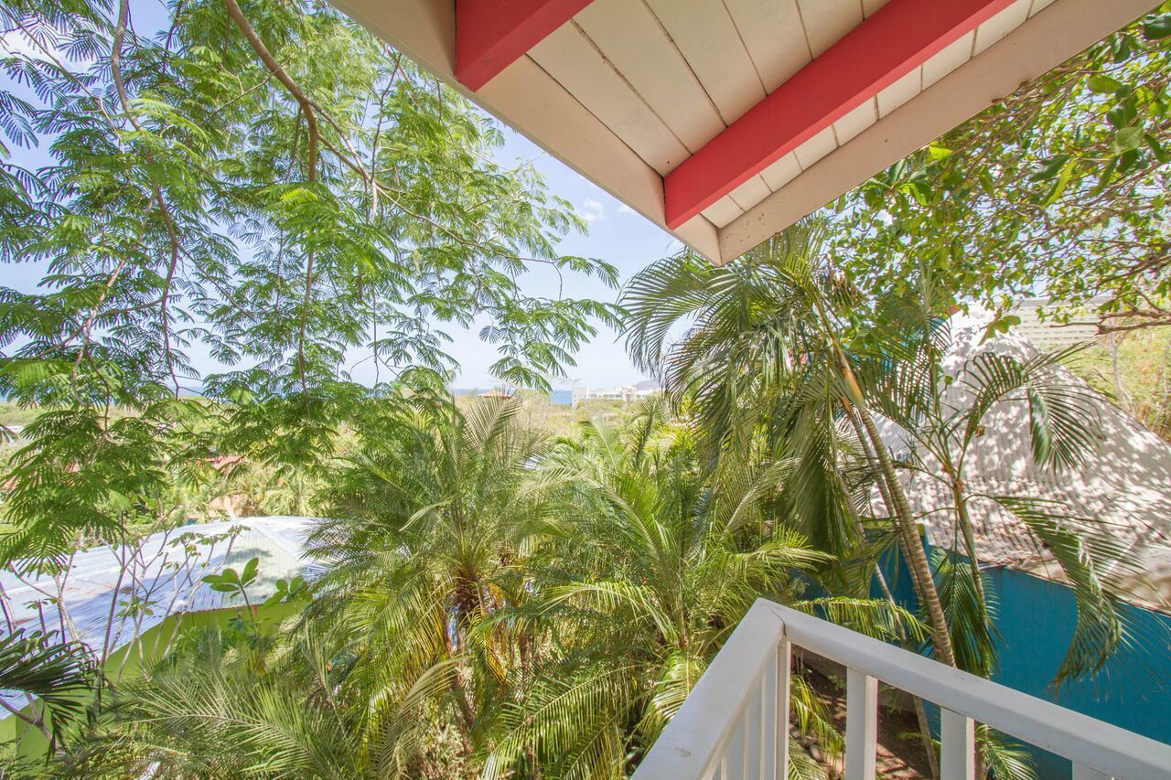 Udsigt fra en balkon med rødt og hvidt gelænder, der kigger ud over en frodig have med palmer og anden vegetation.