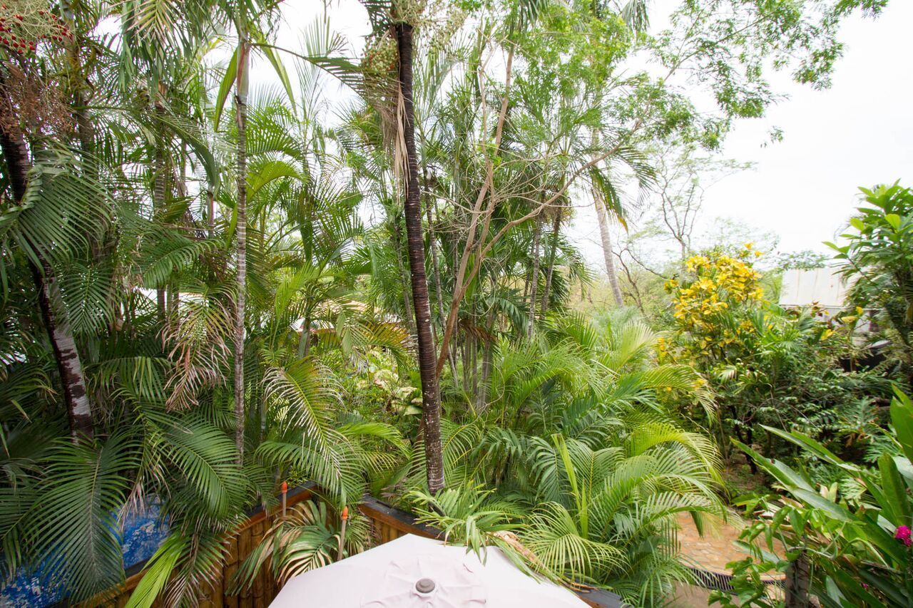 twin room, 1 bedroom, pool view | balcony