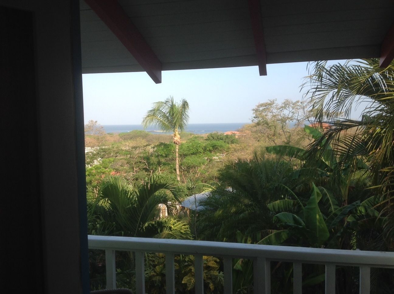 Uma varanda com vista para uma paisagem tropical, incluindo palmeiras e o oceano ao longe.