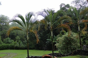Garden - Cabinas 3 Rios (Ciudad Cortés)