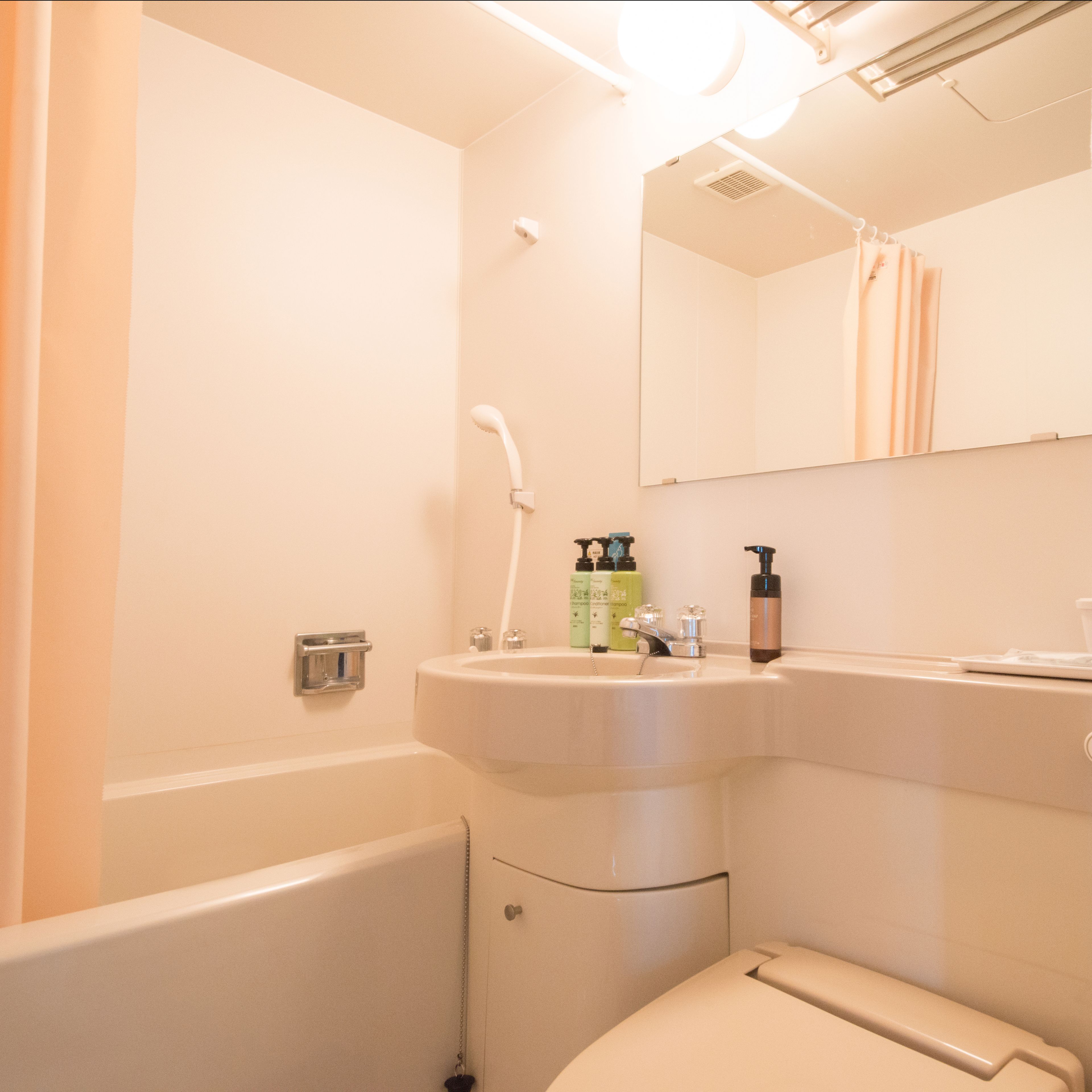 separate bathtub and shower, free toiletries, hair dryer, slippers