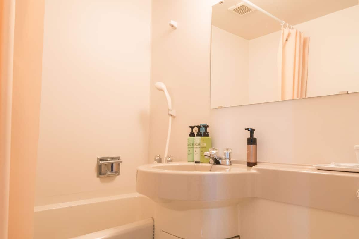 separate bathtub and shower, free toiletries, hair dryer, slippers